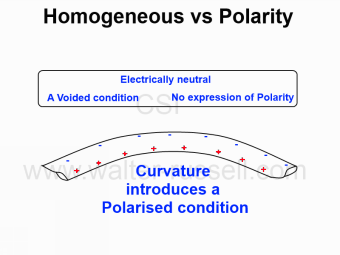 polar1